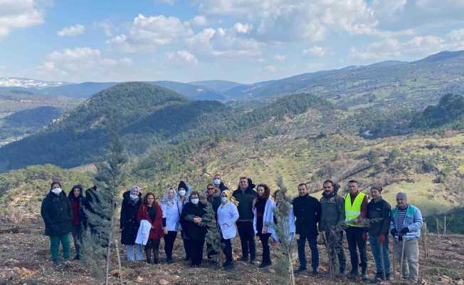 Doktorlar Tıp Bayramında defne ağacı diktiler