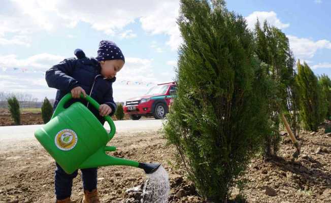 Edirne’de bu yıl hedef: 2 buçuk milyon fidan