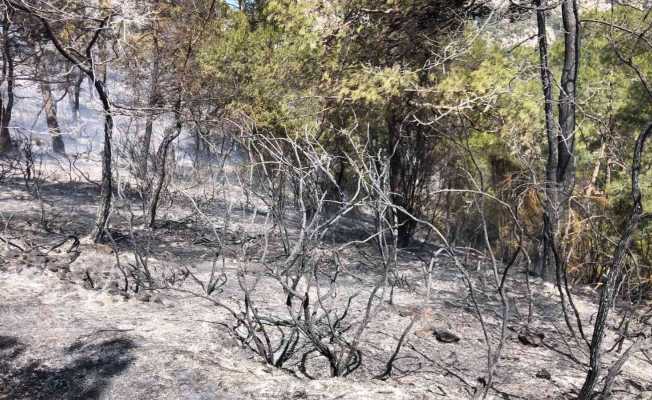 Fethiye’deki yangın kısmen kontrol altına alındı