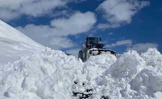 Hakkari’de 84 yerleşim yerinin yolu ulaşıma kapandı