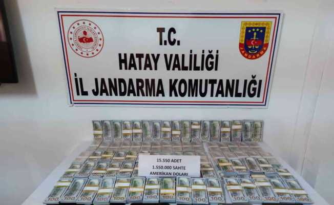 Hatay’da 1 milyon beşyüz bin dolarlık sahte para operasyonu