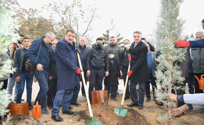 Hemşehri dernekleri fidan dikti