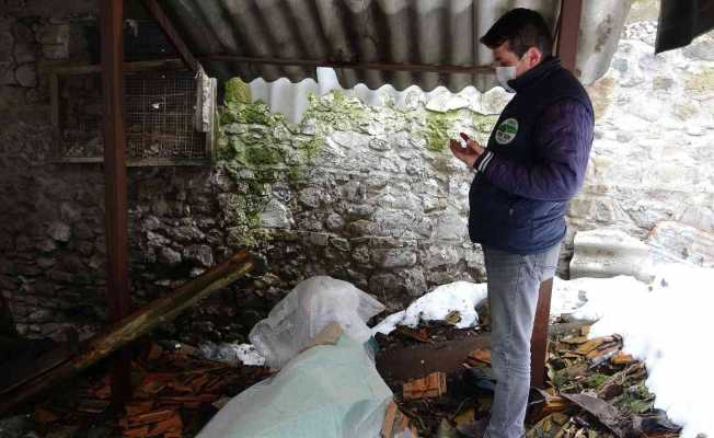 Isparta’daki türbenin harabe hali vicdanları sızlattı