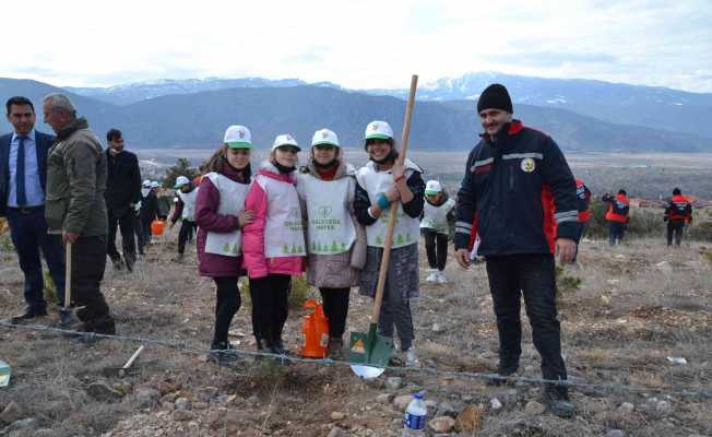 Kargı’da 250 fidan toprakla buluştu