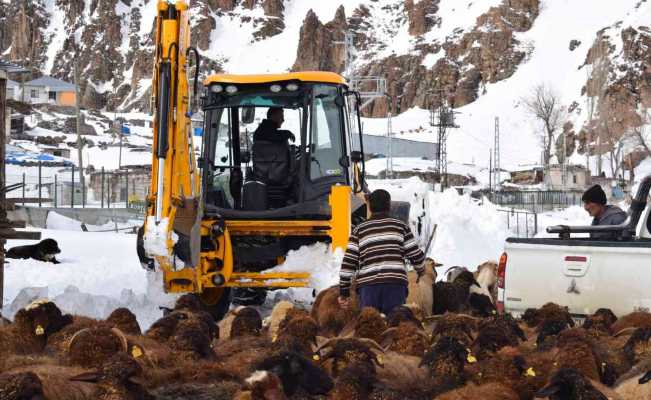 Karla mücadele ekipleri mahsur kalan sürü için seferber oldu