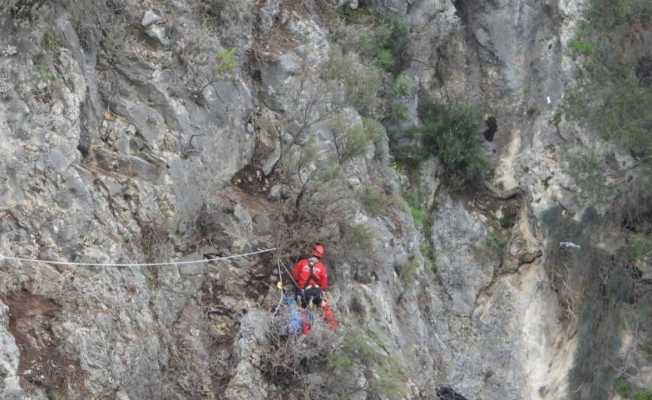 Kayalık alanda mahsur kalan keçileri AKUT kurtardı