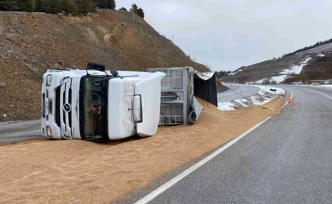 Kontrolden çıkan tır devrildi, 25 ton buğday yola saçıldı