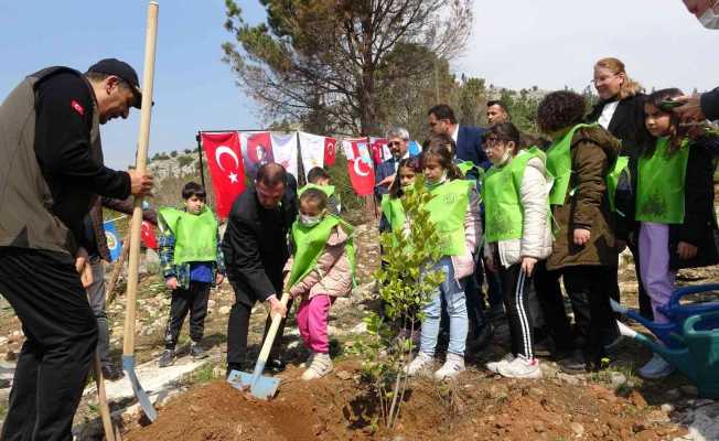 Kozan’da yanan ormanlar yeniden fidanla buluşuyor