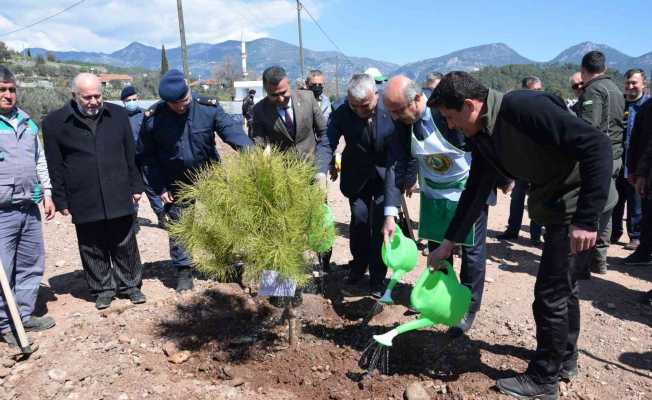 Kumluca’da  15 Temmuz Şehitleri anısına 250 fidan dikildi