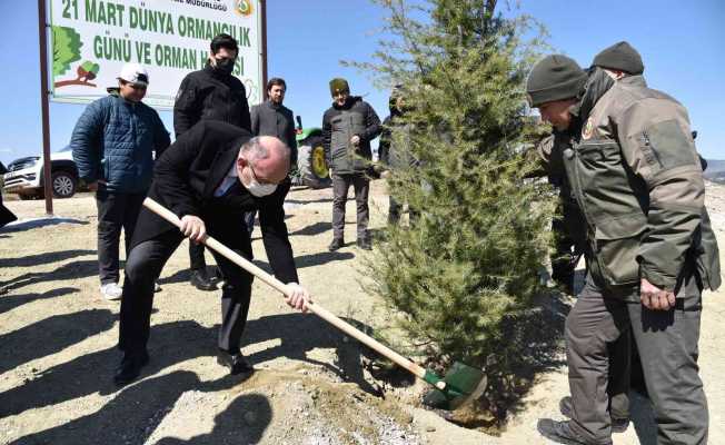 Manisa’da 7 bin fidan toprakla buluştu