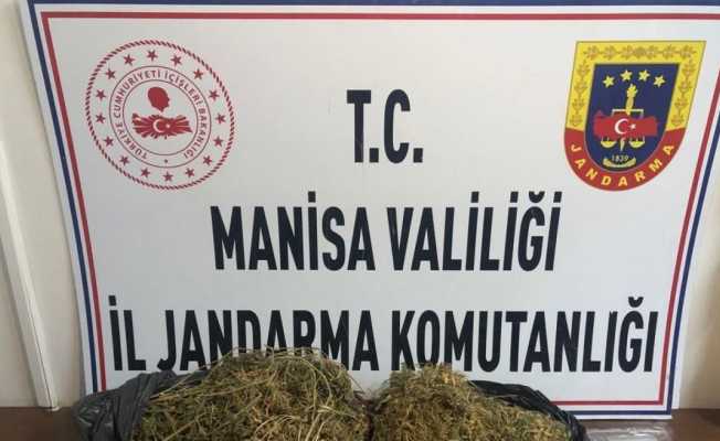 Manisa’da uyuşturucu operasyonu: 1 gözaltı