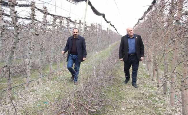 Mart ayının soğuk geçmesi elmada don riskini azalttı