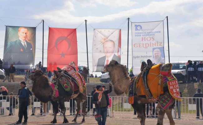 Menemen Folklorik Deve Gösterisinde renkli sahneler