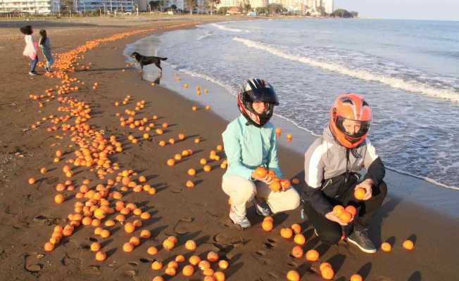 Mersin’de sahil portakal doldu