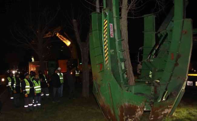 Mudanya yolunda ağaç seferberliği