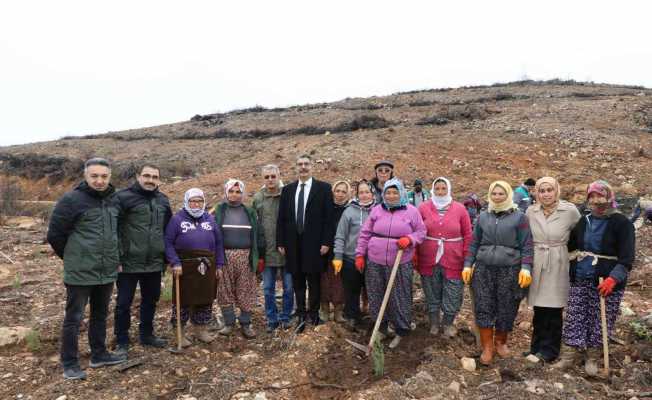 Muğla’da Şehit Yakınları Şehitler anısına fidan dikti