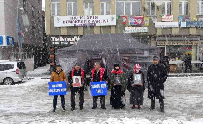 Muşlu annelerin kar altında evlat nöbeti