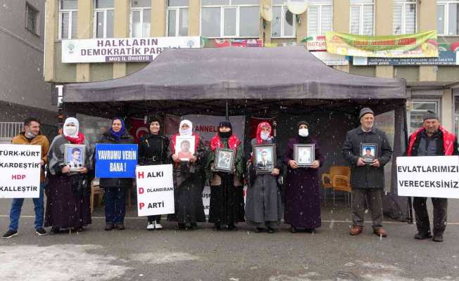 Muş’ta evlat nöbeti tutan ailelerin sayısı 29’a yükseldi