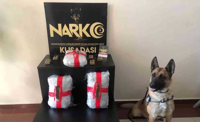 Narkotik köpeği Arthur, uyuşturucuya geçit vermedi