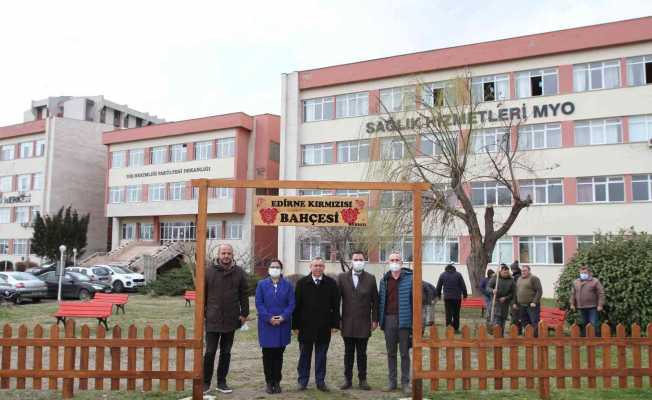 Osmanlı’dan kalma Edirne Kırmızısına özel bahçe hazırlandı