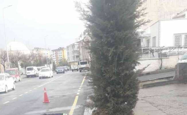 Park ve bahçelerde bakım-onarım çalışmaları yoğunlaştırıldı