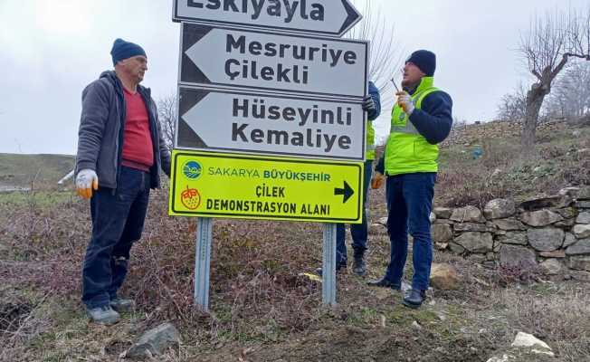 Sakarya’da güzergah ve yön gösteren tabelalar yenileniyor