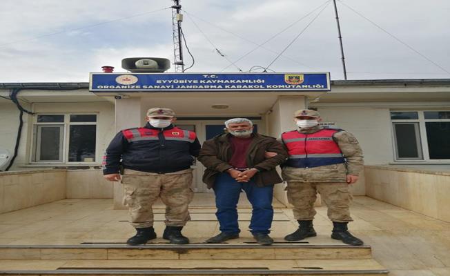 Şanlıurfa’da 3 kardeşi öldüren zanlı yakalandı