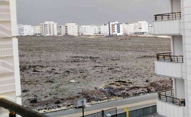 Şanlıurfa’da dolu ve yağmur etkili oldu