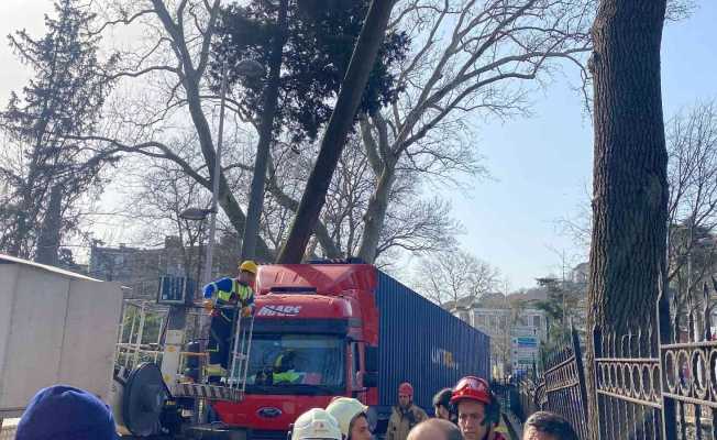 Sarıyer’de dar yolda manevra yapmaya çalışan tır ağaca çarptı