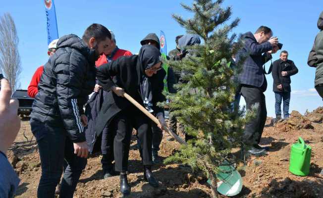 Sındırgı’da yaklaşık 10 bin fidan toprakla buluştu