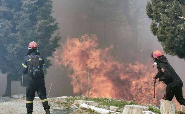 Sisam Adası’nda büyük orman yangını