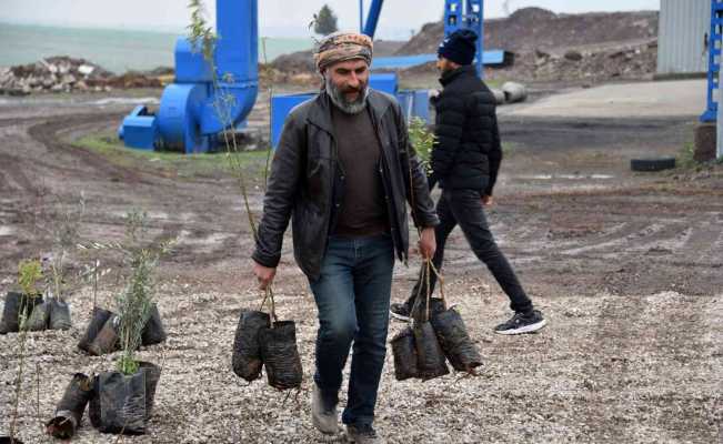 Siverek’te çiftçilere meyve fidanı dağıtıldı