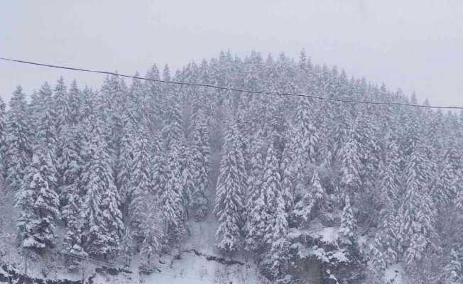 Trabzon-Bayburt karayolu kar nedeniyle ulaşıma kapandı