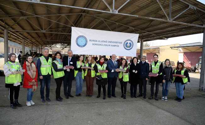 Uludağ Üniversitesi kampüsü tohum toplarıyla yeşermeye devam edecek