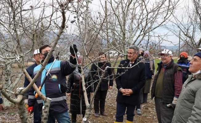 Üreticilere uygulamalı eğitim verildi