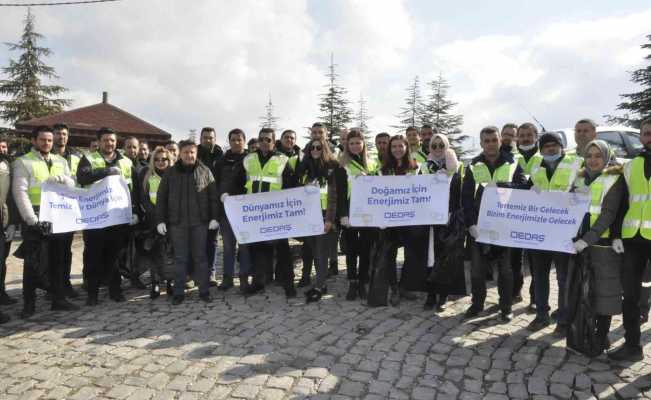 Us: "Ülkemiz ve devletimiz için ormanlar çok önemli"