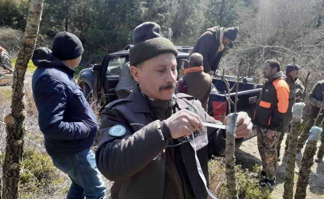 Yabani hayvanlar için verimsiz meyve ağaçları aşılandı