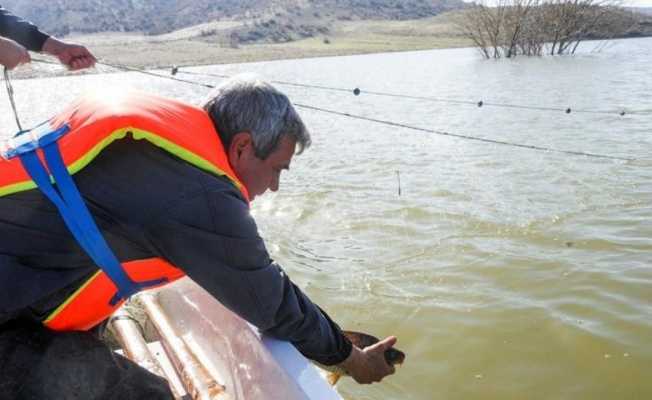 Yasak 15 Haziran’a kadar sürecek