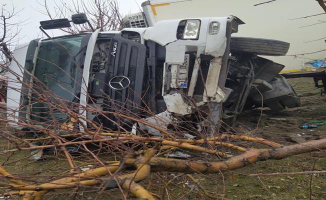 Yoldan çıkan tır meyve bahçesine girdi