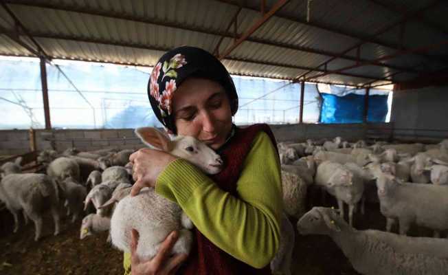 Yolu kapatılan besici kadın hayvanları için gözyaşlarına boğuldu