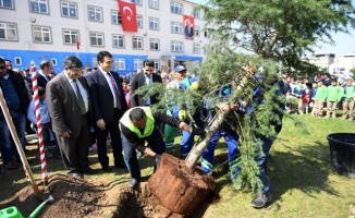 Osmangazi’de okul bahçeleri yeşilleniyor