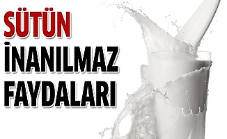 Yarım litre süt, 5 kilogram ete bedel