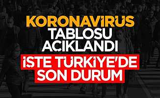 Türkiye Korona Virüs Tablosu: 13 Şubat 2022