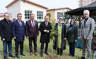 Rize’de okul bahçelerine meyve fidanları dikildi